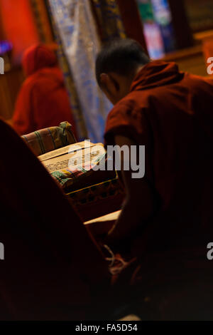 Ein tibetischer junge in roter Kleidung Schriftstudium Studium buddhistischer Texte in einem Kloster ein Mönch Stockfoto