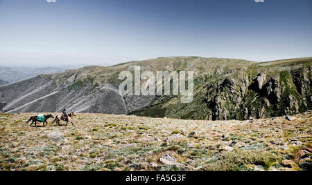 Australian Stockman, Lin Baird, nähert Hölle Lücke in der Nähe von Mount Bogong in dem viktorianischen Hochland. Stockfoto