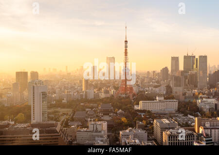 Tokyo, Japan - 12. Dezember 2015: Nachtansicht von Tokio Skylines.Tokyo ist die Hauptstadt und größte Stadt von Japan. Stockfoto