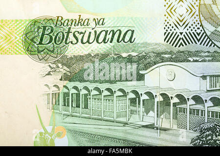 Detail der 10 Botswana Pula Banknote. Botswana Pula ist die nationale Währung von Botswana Stockfoto