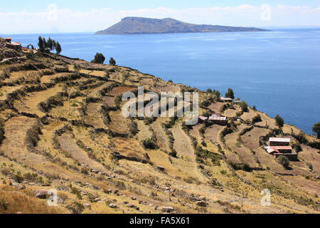 Terrassenfelder auf Taquile Insel Titicaca-See Stockfoto