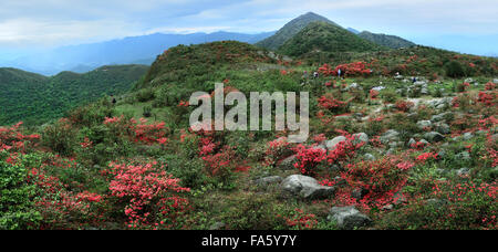 Qingyuan City, Guangdong Provinz, die Reinheit und frische Bereich des Berges. Stockfoto