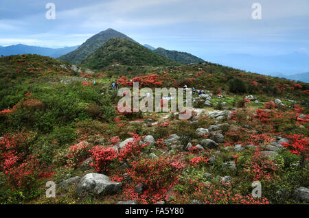 Qingyuan City, Guangdong Provinz, die Reinheit und frische Bereich des Berges. Stockfoto