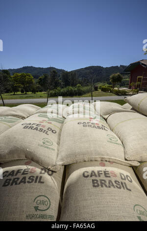 Säcke Kaffee auf LKW verladen Stockfoto