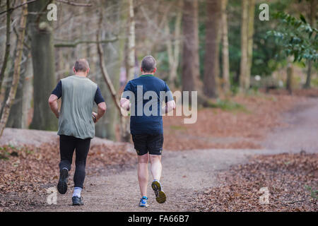 Reifen Läufer trainieren in Thorndon Park Waldland in Essex, England, Vereinigtes Königreich. Stockfoto