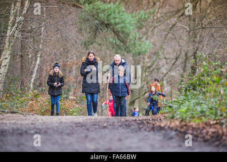 Eine Familie zu Fuß durch Ein herbstliches Thorndon Park Waldland in Essex, England, Vereinigtes Königreich. Stockfoto
