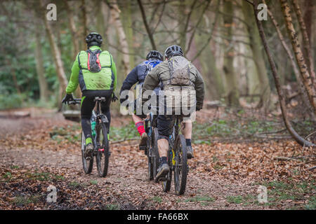 Mountainbiker fahren durch Thorndon Park Wald in Essex, England, Vereinigtes Königreich. Stockfoto