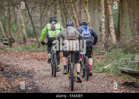 Mountainbiker fahren durch Thorndon Park Wald in Essex, England, Vereinigtes Königreich. Stockfoto