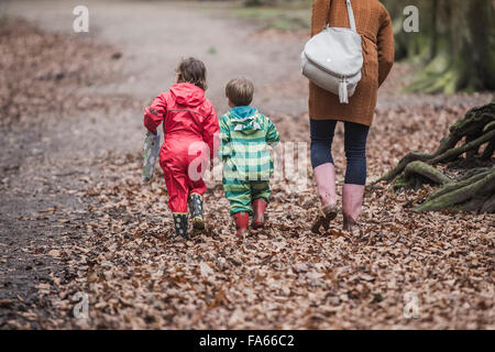 Eine Familie genießen Sie einen Spaziergang durch den Wald Thorndon Park in Essex, England, Vereinigtes Königreich. Stockfoto