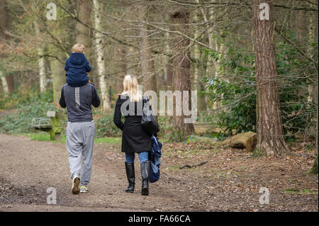 Eine Familie genießen Sie einen Spaziergang durch den Wald Thorndon Park in Essex, England, Vereinigtes Königreich. Stockfoto