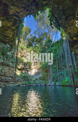 Cenote Ik Kil, in der Nähe von Chichén Itzá, Yucatan, Mexiko Stockfoto
