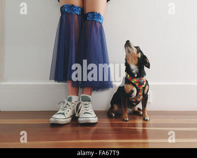 Geringen Teil der Mädchen in einem Tanzkostüm mit ihrem Chihuahua Hund Stockfoto