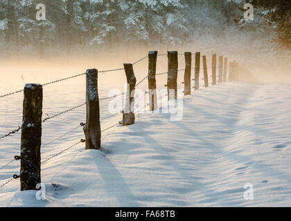 Holzpfosten mit Stacheldraht Zaun in Schnee, Mookerheide, Niederlande Stockfoto