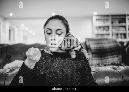 Eine freche Welpen beobachten seines Besitzers Essen ihr Abendessen Stockfoto