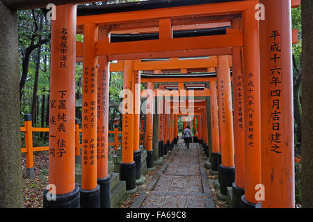 Roten Torii-Tore in einem Wald am Fushimi Inari-Taisha-Shinto-Schrein, Kyoto, Japan Stockfoto