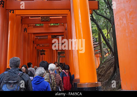 Besucher, die durch die roten Torii im Fushimi Inari-Taisha-Shinto-Schrein, Kyoto, Japan Stockfoto