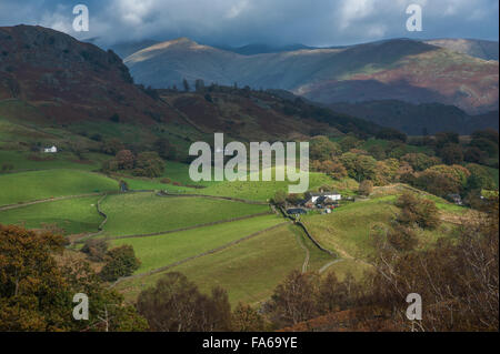 FHigh Birk How in Little Langdale Cumbria Stockfoto