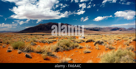 Wolwedans Landschaft (zusammengesetzte Panoramabild) - NamibRand Nature Reserve - Hardap Region, Namibia, Afrika Stockfoto