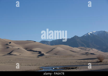 Great Sand Dunes National Park and Preserve, Medano Creek mit Sanddünen (Vordergrund), Colorado, USA Stockfoto