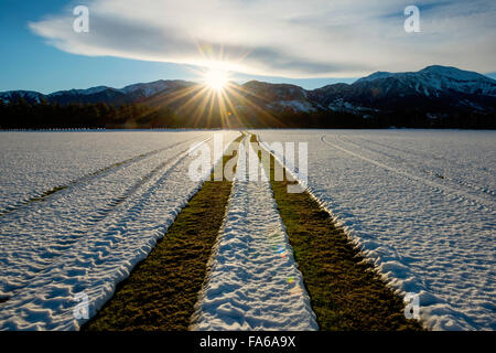 Traktor Reifenspuren im Schnee bedeckt Feld, Methven, Canterbury, Neuseeland Stockfoto