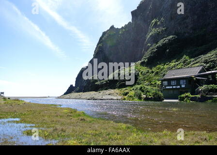 Karekare Beach außerhalb Auckland, Neuseeland Stockfoto