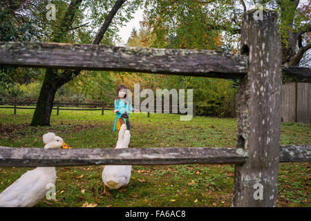 Mädchen, die Enten füttern Stockfoto