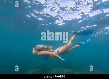 Frau, Schwimmen unter Wasser Stockfoto