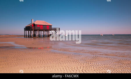 Hölzerne Baden Hütte auf Stelzen am Strand, La Teste-de-Buch, Arachon, Frankreich Stockfoto