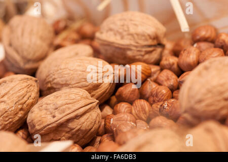 Nahaufnahme von Haselnüssen und Walnüssen Stockfoto
