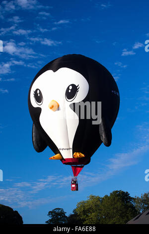 Pinguin-Heißluftballon in Bristol International Hot Air Balloon Fiesta 2015 Stockfoto