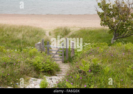 Schritte und einen Fußweg zum Strand, auf der Insel der Seligen, Anglesey Stockfoto