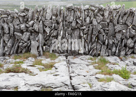 Trockenmauern Wand- und Kalkstein Fahrbahn in Slieve Fiumicino - der Burren National Park, Irland Stockfoto