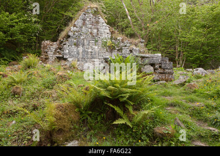 Ein Stein Oratorium am Slieve Carran (Adlerfelsen) in die Burren, Irland Stockfoto