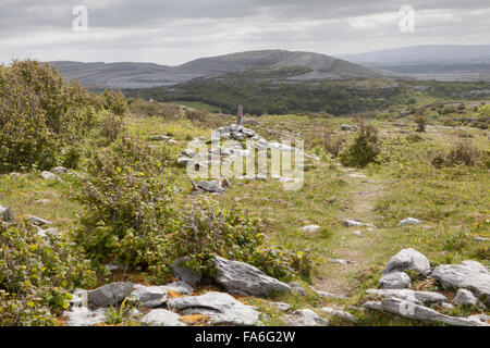 Eine grüne Fußweg auf der Mullaghmore Rundweg im Burren, County Clare, Irland Stockfoto