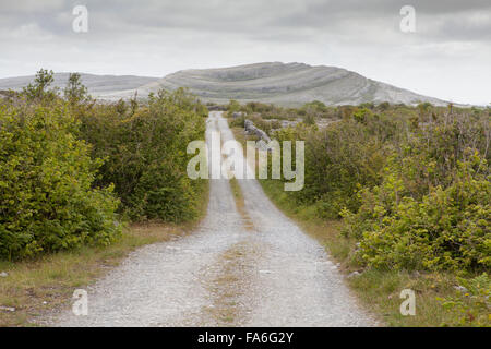 Die grüne Straße, Teil des Mullaghmore Loop Wanderwege im Burren, County Clare, Irland Stockfoto