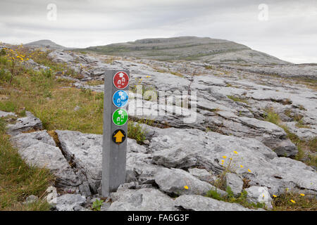 Mehrere Wegmarken auf einem Felsen mit Fossilien, auf dem Rundweg Mullaghmore im Burren, County Clare, Irland Stockfoto