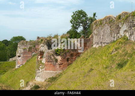 Le Château d'Arques-la-Bataille Seine-Maritime, Frankreich, Europa Stockfoto