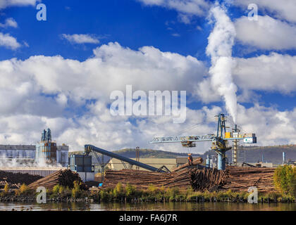 Zellstoff- und Papierfabrik, Thunder Bay, Ontario, Kanada. Stockfoto