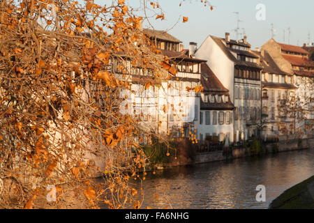 Häuser entlang dem Fluss Ill in Petite France im Herbst, Altstadt von Straßburg, Frankreich Europa Stockfoto