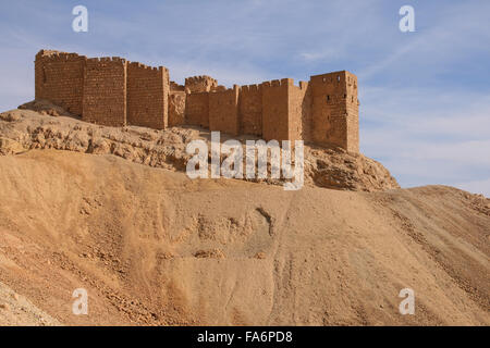 Burg von Palmyra Stockfoto