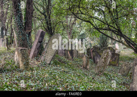 Der alte jüdische Friedhof in Kolin Stockfoto