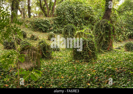 Der alte jüdische Friedhof in Kolin Stockfoto