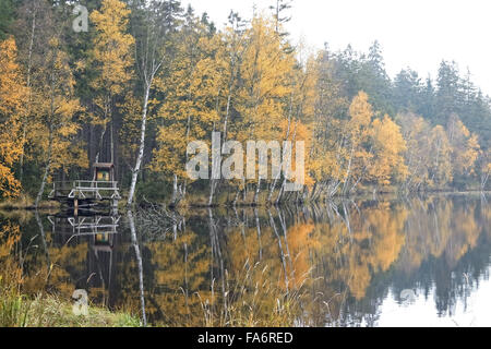 Bäume am Ufer des Sees im Herbst - Kladska Torf - Glatzener Moor - ist ein nationales Naturreservat in Slavkov Woods Stockfoto