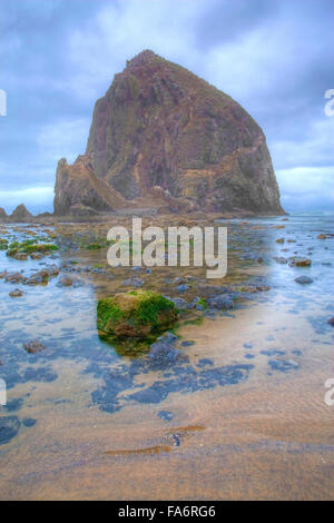 Morgen am schönen Haystack Rock, Oregon Stockfoto