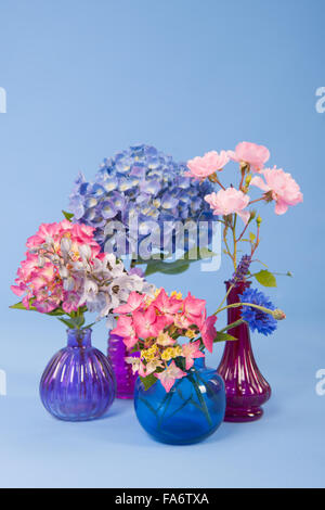 Hortensien rosa und blauen und anderen Blumen auf farbigen Hintergrund Stockfoto