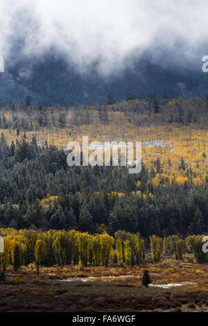 Herbstfarben schmücken die Bäume in den Ausläufern des Gebirges Gros Ventre im Grand-Teton-Nationalpark, Wyoming. Stockfoto