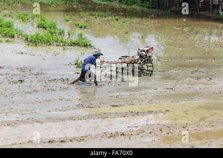 Asien-Bauer mit Pinne Traktor im Reisfeld Stockfoto