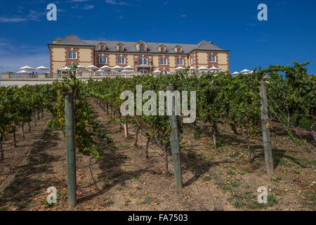 Schloss am Domaine Carneros, Duhig Road, Napa Valley, Napa County, Kalifornien, USA, Nordamerika Stockfoto