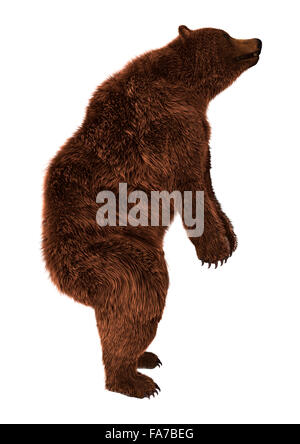 Digitale 3D Rendern eines braun Grizzly Bären isoliert auf weißem Hintergrund Stockfoto