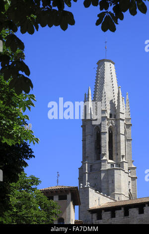 Die Kirche Sant Feliu an den Ufern des Onyar in Girona, Costa Brava, Katalonien. Spanien. Stockfoto